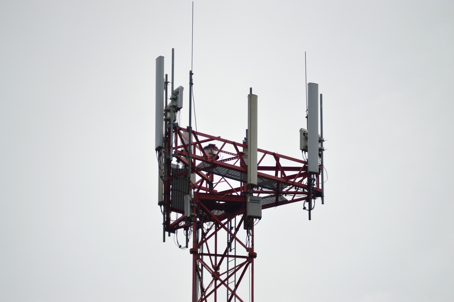 The Japanese Electronics and Transmission Media